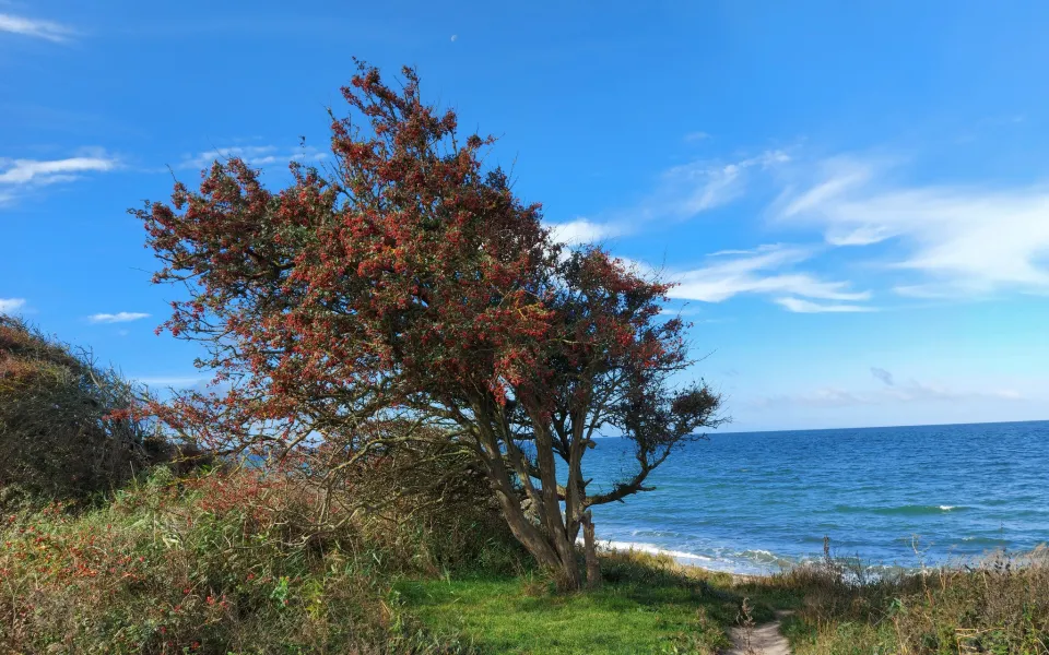 Ausblick Börgerende